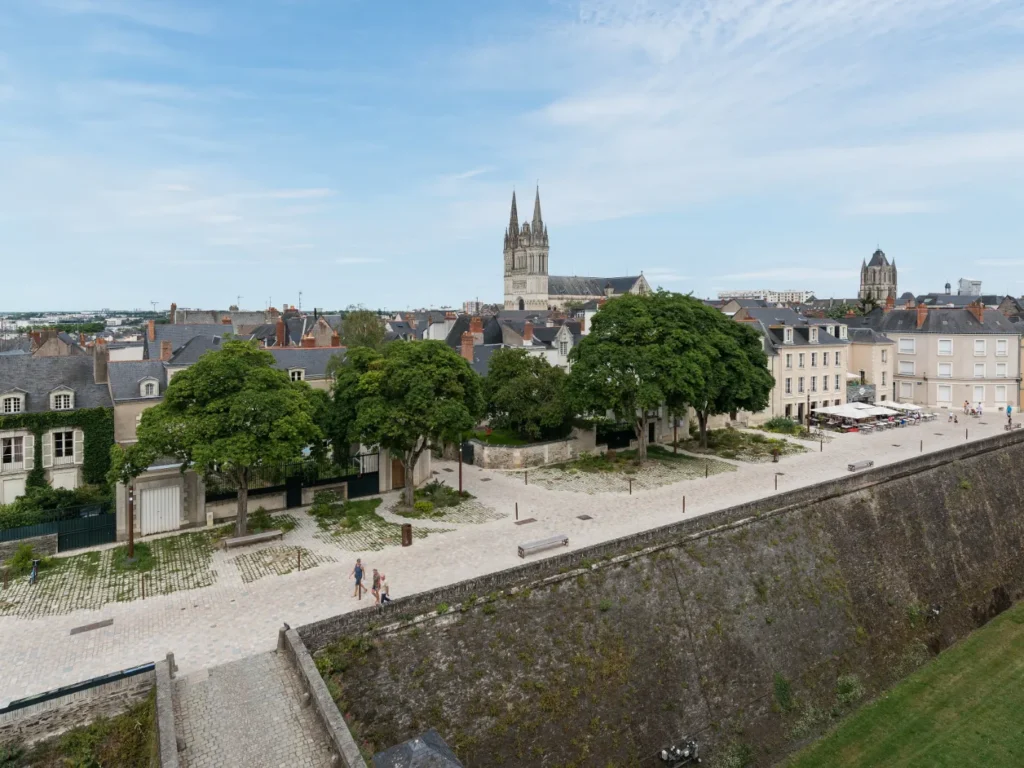 Vue panoramique d'Angers depuis le château, avec la cathédrale Saint-Maurice à l'horizon